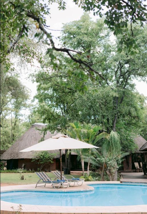 Limpokwena Nature Reserve Tokio Luaran gambar