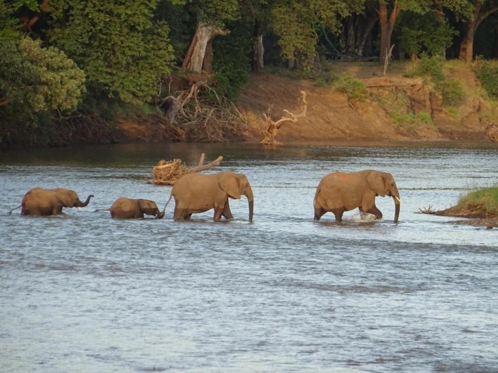 Limpokwena Nature Reserve Tokio Luaran gambar