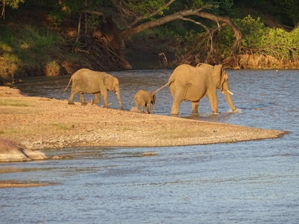 Limpokwena Nature Reserve Tokio Luaran gambar