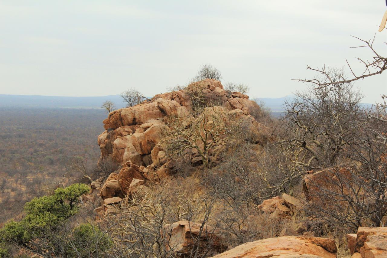 Limpokwena Nature Reserve Tokio Luaran gambar